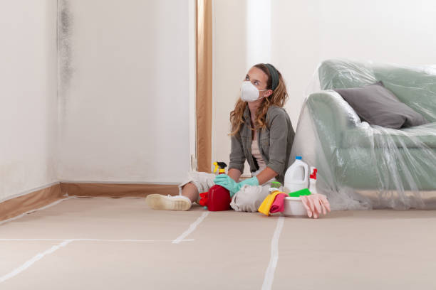 Reliable Commercial Mold Remediation contractor in Saint Francis, MN by WQB Mold Removal